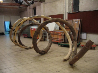 D.N.A   2003 - 2005   bois, métal    170 x 600 x 170 cm - Famille